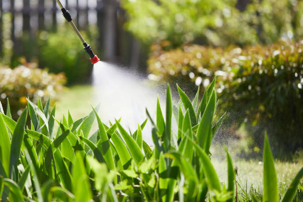 24/7 Emergency Fumigation Services experts in Keno, OR